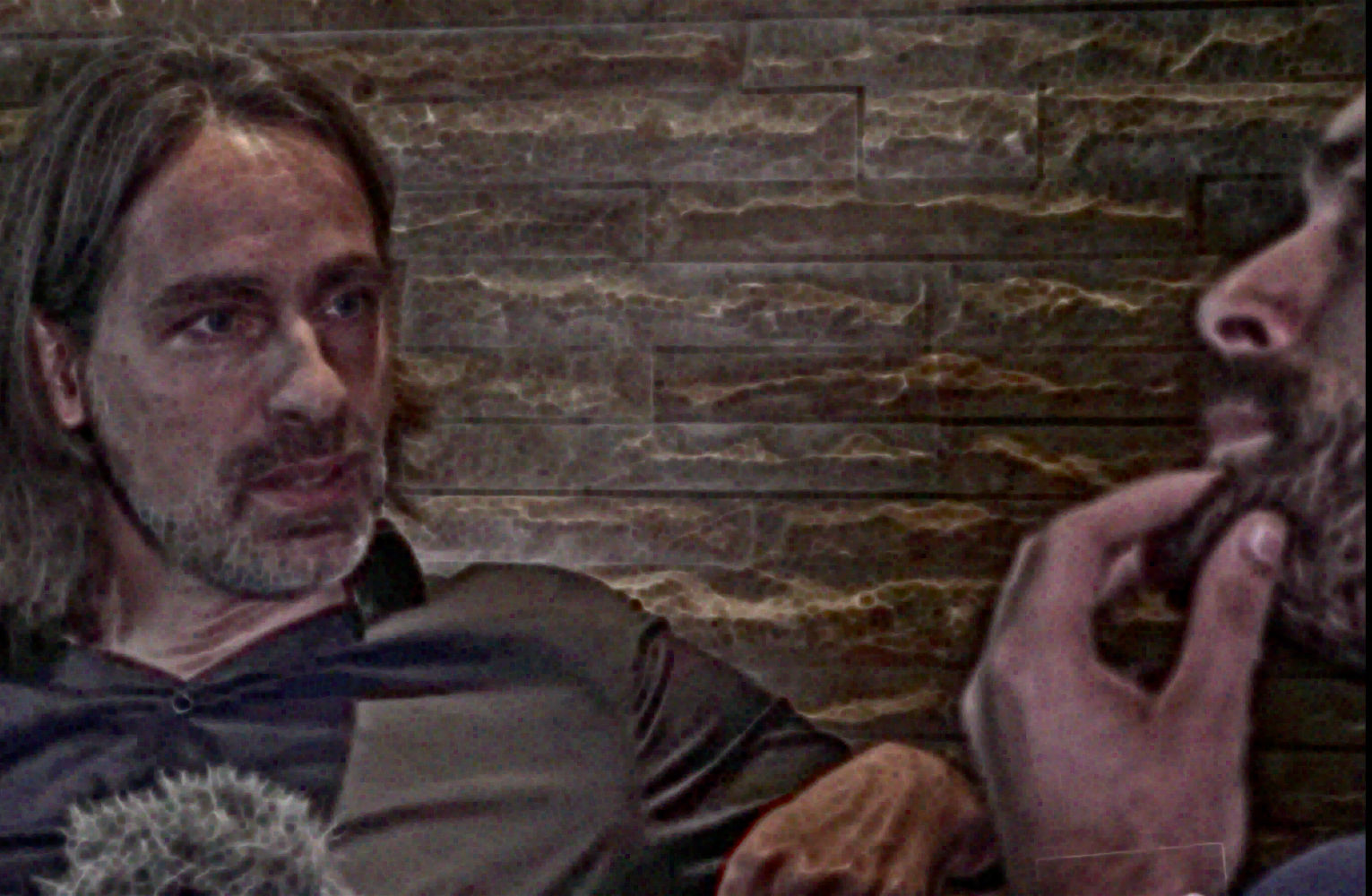 RICHARD DAVID PRECHT WIKIPEDIA intelligence overview